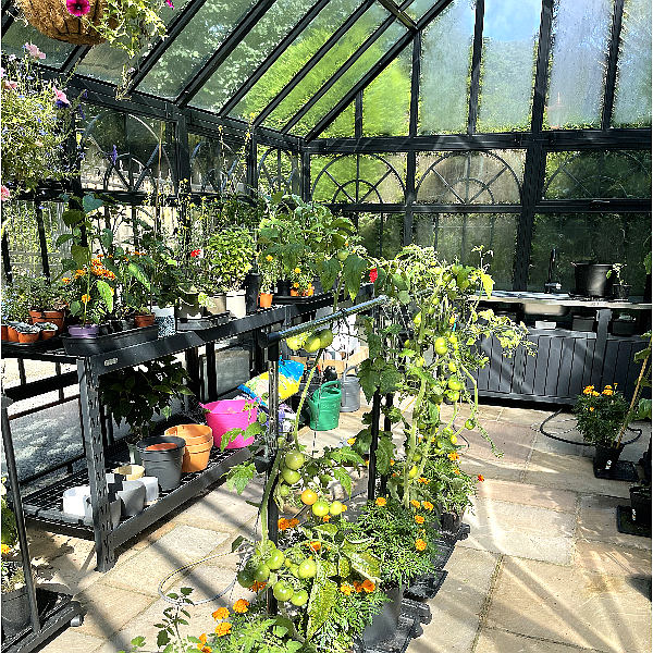 Invernadero Victoriano Vidrio: Galvanizado en Caliente